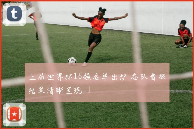 上届世界杯16强名单出炉 各队晋级结果清晰呈现_1